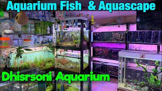 New Fish Stock at Dhir Soni Aquarium I Thane