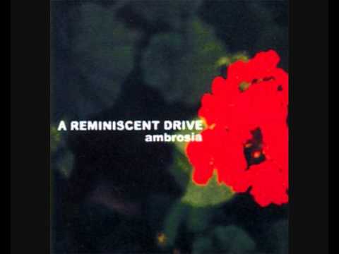 A Reminiscent Drive - The Unseen World