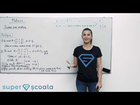 Clasa a XI-a - Inversa unei matrice - Exercitii tip 2