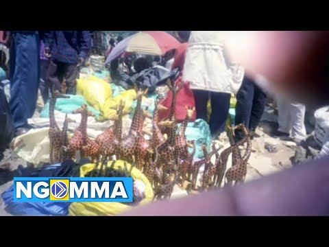 Katitu Boys Band - Nau Na Mwaitu