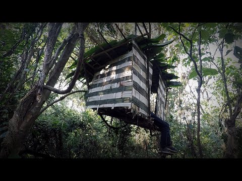 Solo camping - membuat rumah gantung di akar pohon, di tengah hutan lebat