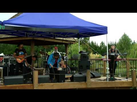 Flaxwood Festival 2012 - The Wolverines