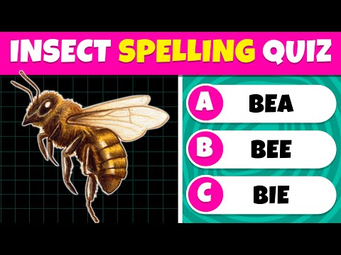 30 Insects Spelling Test for Kids 🐝🐞 | Easy to Hard Challenge