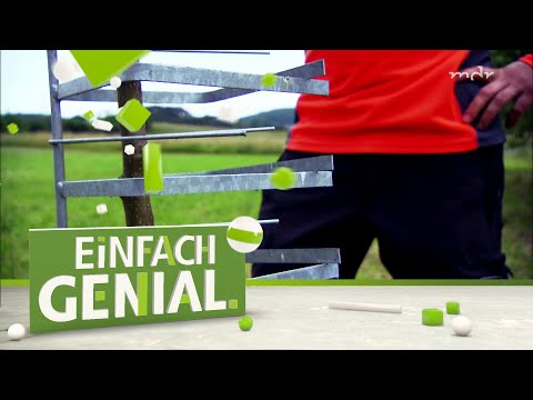 Flexible Schutzkonstruktion für Jungbäume | Einfach genial | MDR