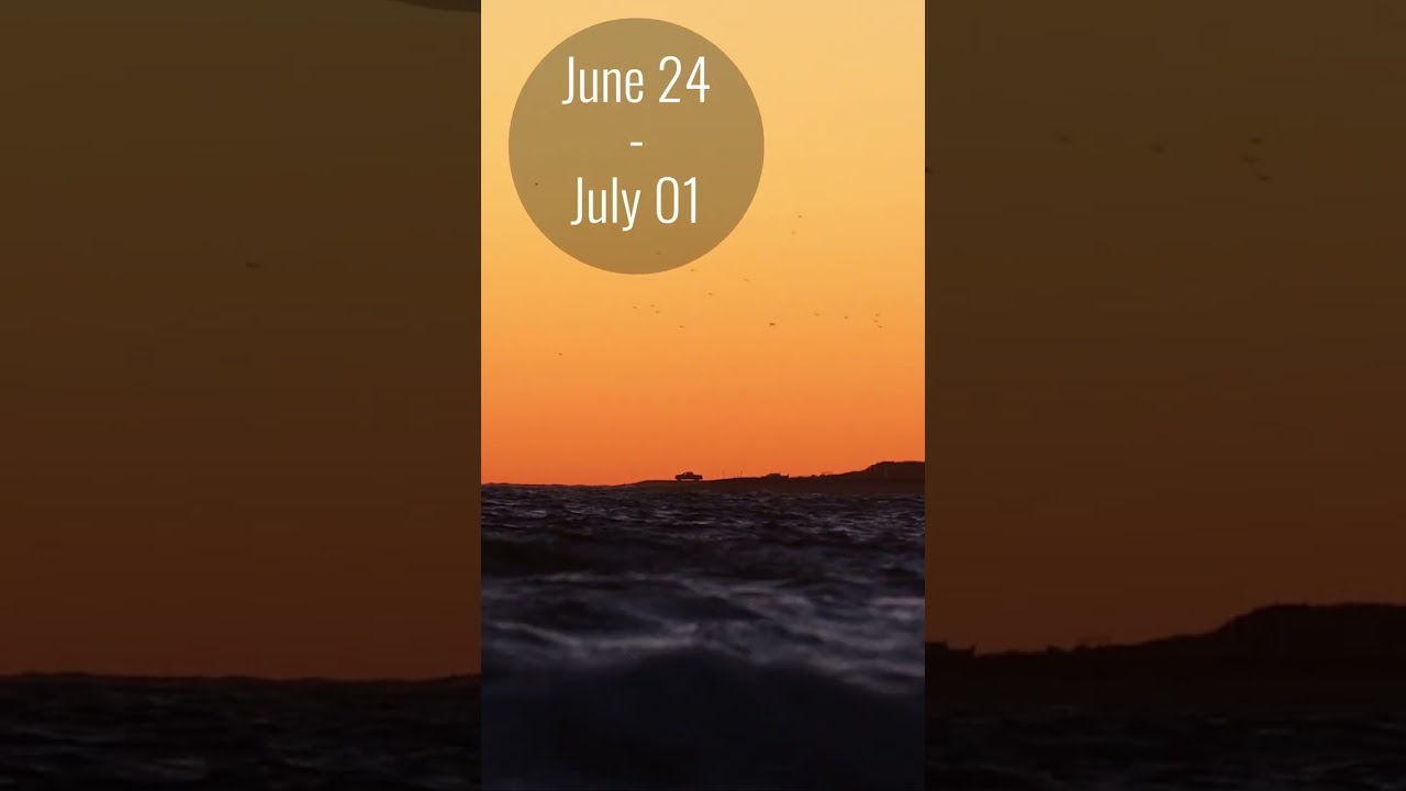 Painting in Cape Cod