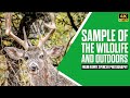 Sample Of The Wildlife And Outdoors From Renny Spencer Photography