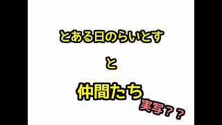 【実写】とある日のらいとすと仲間たち