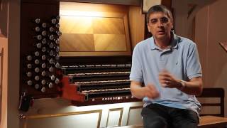Entrevista a Francisco Ferreira