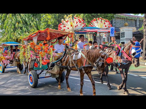 SPECIAL DELMAN RIDE | HORSE DELMAN RIDE - WHITE HORSE | POPULAR CHILDREN'S SONG