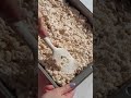 Cinnamon Roll Rice Krispie Treats