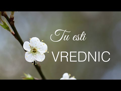 Corul de tineri Bosanci | Esti vrednic