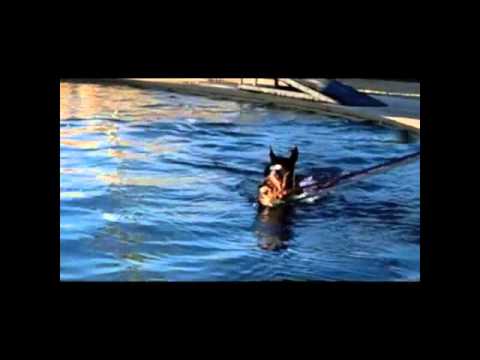 EL 40 - OSCAR SOLIS Y SU BANDA MAGISTRAL