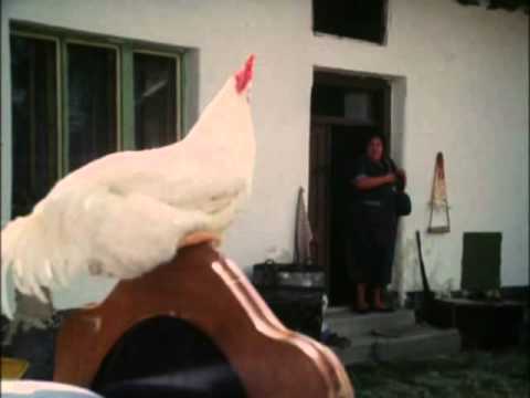 Slunce seno jahody - babička