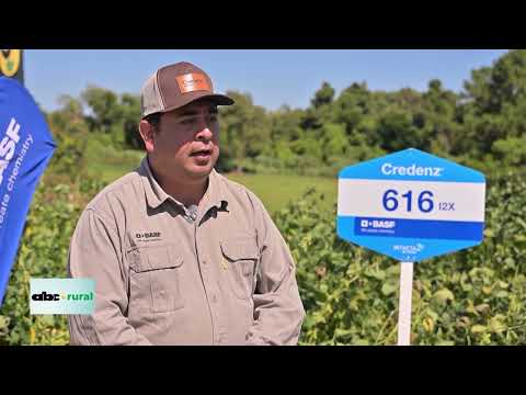 BASF presentó nueva variedad de soja en jornada de Cooperativa La Paz, Itapúa