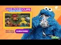 Sesame Street Catch Dvd