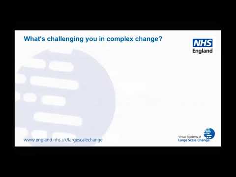 Leading Large Scale Change