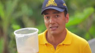 Tips del Profesor Yarumo