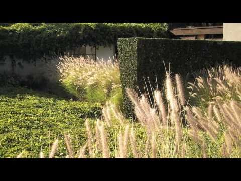 The Schindler House, West Hollywood, California