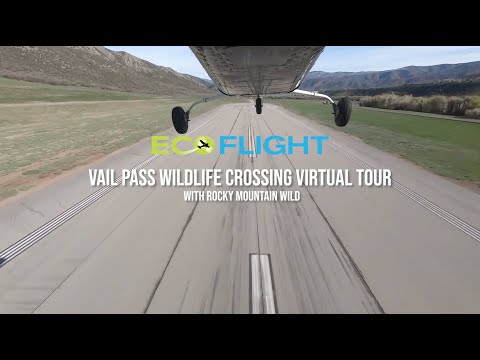 Vail Pass, Colorado - Wildlife Crossing - Virtual Tour
