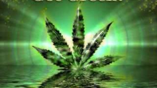 Tarrus Riley  feat Demarco &amp; Vybz Kartel - Herbs promotion