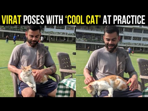 Anushka Sharma’s adorable reaction to Virat Kohli's picture with a 'cool cat'