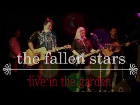 the fallen stars - dam