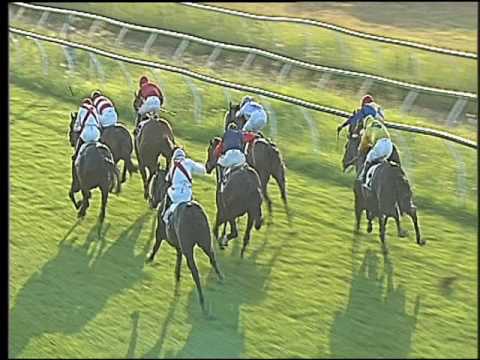 Galoppo 13/07/2016 - 3° corsa