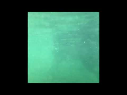 2021-08-13 Sisu Swims - back feet (vid rotated)