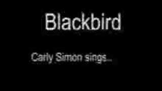 Blackbird Music Video