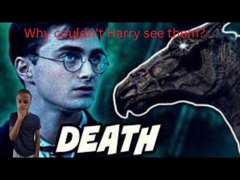 Why couldn't Harry always see the Thestrals? | Harry Potter Discussion