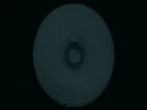 Takeshi Kitano Special Tribute