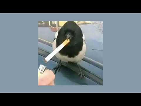 [free] Luis x T-Low x Yung Vision Type Beat - „Vision“ 2022 (prod. twentyone x irminthekid)