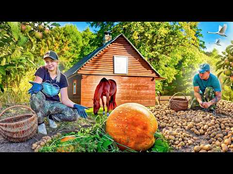 Как Мы Восстанавливаем Старый Дом и Какой Результат Картошки По 3 | Впервые Плаваю в Диком Месте |