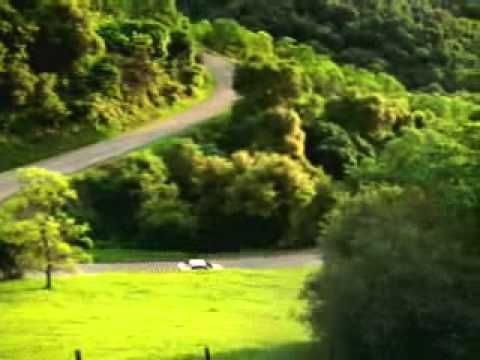 фото продам друга, зовут тун тун сахура(залупа(тумерт)) 0