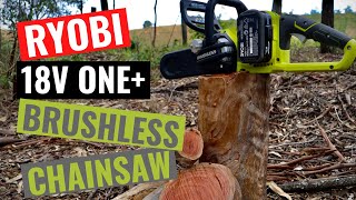 RYOBI 18v ONE+ Brushless Chainsaw Review - Should you buy