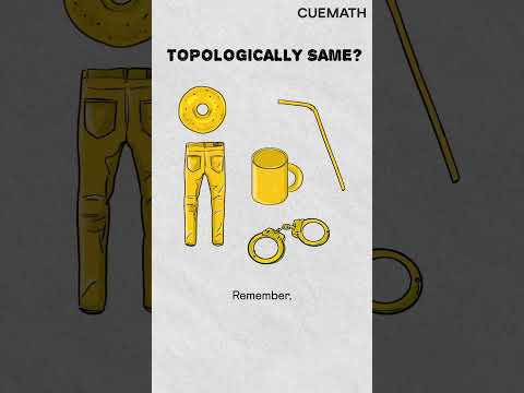 Are humans topologically equal to donuts?