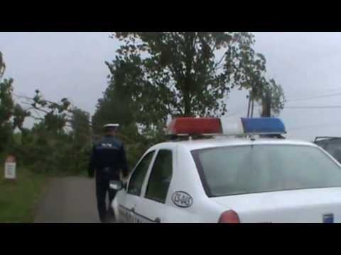 copac cazut dn 57 oravita