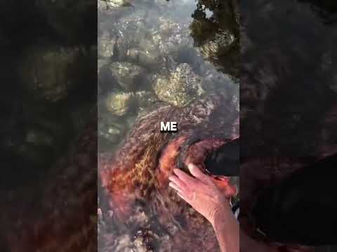 WOMEN ATTACKED BY GIANT OCTOPUS! #shorts