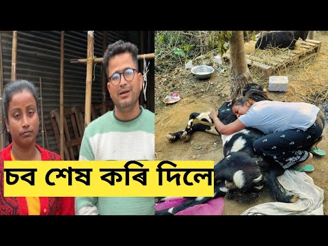 Sob hekh kori dile amar