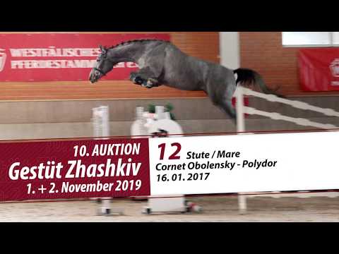 12 Stute / Mare v. Cornet Obolensky - Polydor