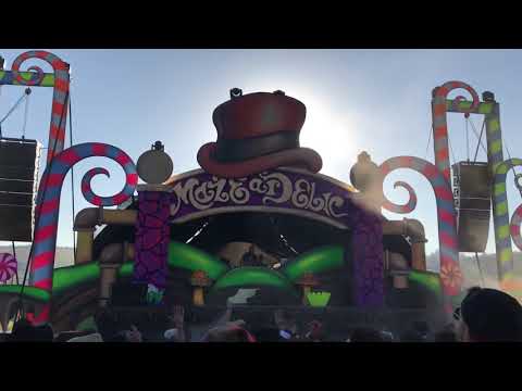 Ticon @ Maze-a-delic 10 anos