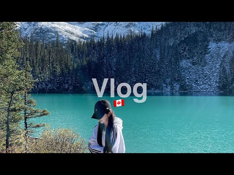 밴쿠버 유학생Vlog | 밴쿠버 조프리 여행 | 캐나다브이로그 | 밴쿠버 일상 브이로그 | 밴쿠버해외여행 | 밴쿠버 맛집