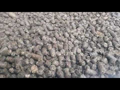 Sunflower husk shrouds