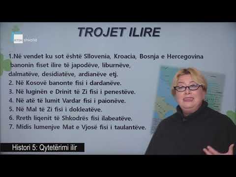 Histori 5 - Qytetërimi ilir
