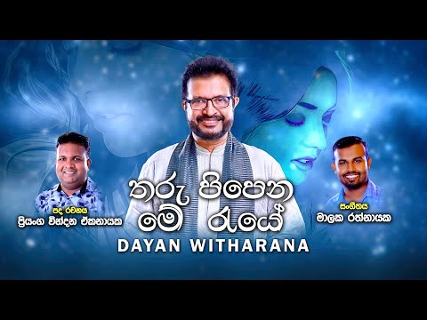 Dayan Witharana New Song | Tharu Pipena mee raye (තරු පිපෙන මේ රැයේ ) | Official Lyrics Video