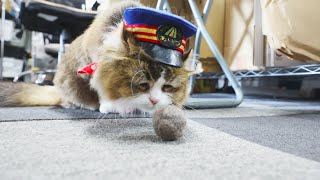 #69 驚きのおもちゃだにゃ!「ふにゃ~り日和」