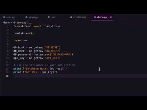 Securing Code Secrets: Dotenv and Gitignore Mastery in Python and JavaScript