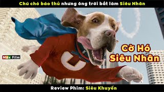 Sinh ra để Báo nhưng ông trời bắt làm Siêu Nhân - review Siêu Khuyển