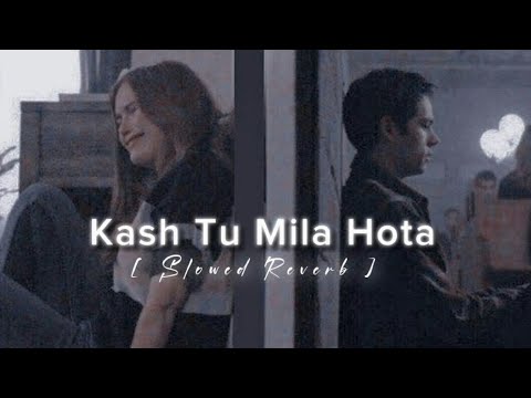 Kash Tu Mila Hota - Lofi ( slowed and reverb ) Code Blue | Jubin Nautiyal | Music Lofi 07