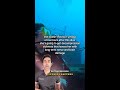 Decompression Sickness from Scuba Diving